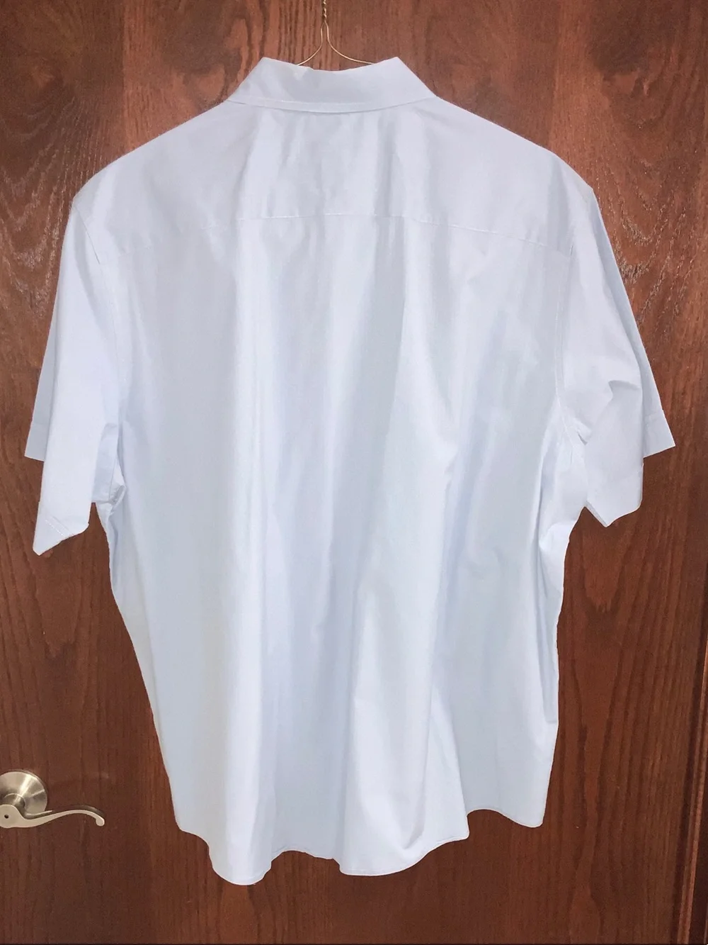 Banana Republic Light Blue-Gray Short Sleeve Button-Down Shirt